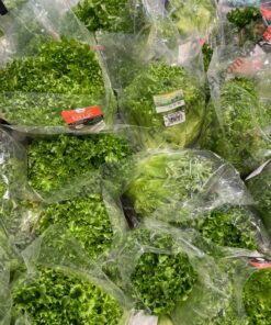 Vegetable packaging bags