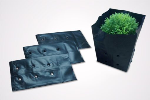 Polythene bag for plants
